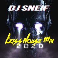 Dj SneiF - Bass House Mix 2020 ()