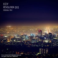 V.O.Y - Revolution 303 (Original Mix)