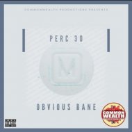 Obvious Bane & Dro Fee - Say Something (feat. Dro Fee) (Original Mix)