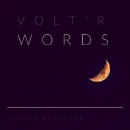 Volt\'R - Words (Original Mix)