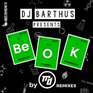 DJ Barthus - Be OK! (Matt Daver Remix Edit)