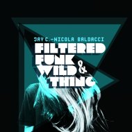 Jay C & Nicola Baldacci - Filtered Funk (Original Mix)