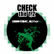 Groovetonic & Olivian DJ - Check The 1,2 (Original Mix)