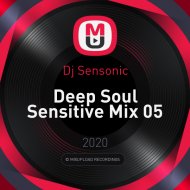 Dj Sensonic - Deep Soul Sensitive Mix 05 ()