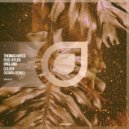 Thomas Hayes feat. Kyler England - Golden (Nomra Extended Remix)