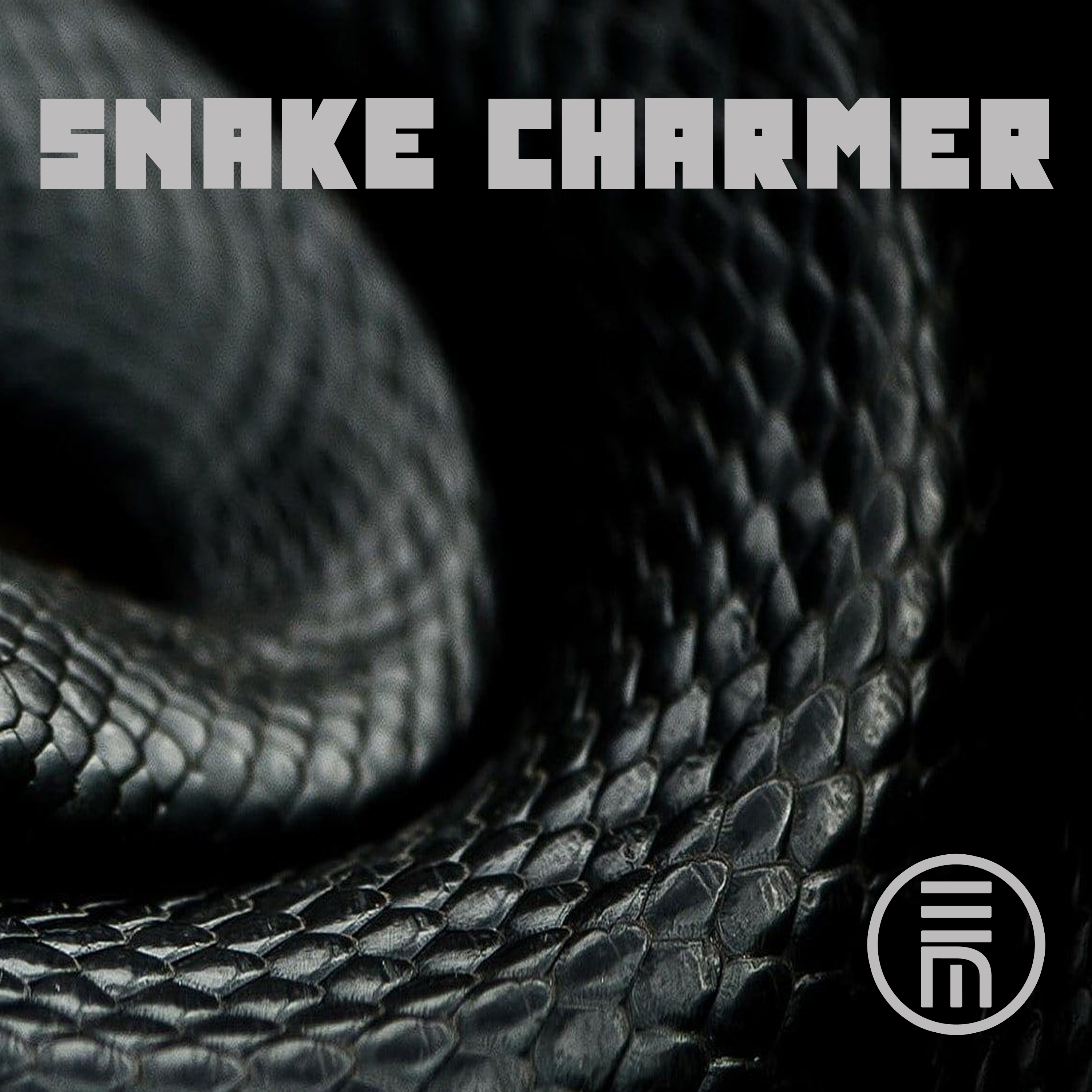 А ты змея песня слушать. Snake трек. Песни про змей. The Snake Charmer группа.