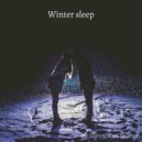 Danny Van Taurus - Winter sleep (Original Mix)