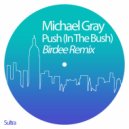 Michael Gray - Push (In the Bush) (Birdee Remix)