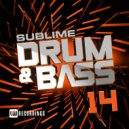 Trempid - Slowing Time Around (Original Mix)