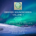 Downgrooves - Hyacinth (Original Mix)