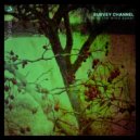 Survey Channel - Sleep Verses ()