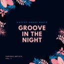 Albert Aponte, Chris Groovejey - The Shaker (Original Mix)