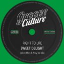 Right To Life - Sweet Delight (Micky More And Andy Tee Mix)