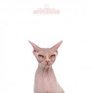 There Is No One But Me - Artsploitation (Original Mix)