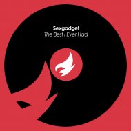 Sexgadget - The Best I Ever Had (Radio Edit)
