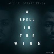 40D, Dj Caipirinha - A Spell In The Wind (Spiritual Groove Mix)