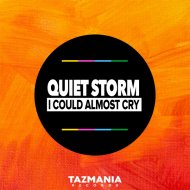 Quiet Storm - I Could Almost Cry (SoulShaker Remix)
