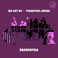 Ian Kay HQ, Toadstool Ngema - Orchestra (Original Mix)