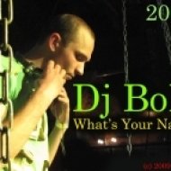 Favretto ft. Naan - What\\\'s Your Name (Dj BoB electro remix)