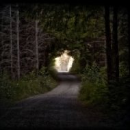 The Flashbulb - Wake Up, Gladiator ()