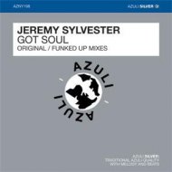 Jeremy Sylvester - Got Soul (Original Mix)