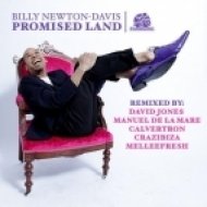 Billy Newton Davis - Promised Land (Calvertron Dubstep Mix)