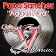 Papo Sanchez - Aguas Pura (Sir Piers & Ed Funks Curious Beats)