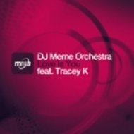 DJ Meme Orchestra feat. Tracey K - Love Is You (TV Track)