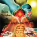 Space Vorobey - Trip To Eternity ()