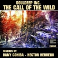 SoulDeep Inc - The Call Of The Wild (Dany Cohiba Remix)