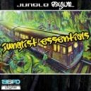 Jungle Asylum - Full Metal Junglist (Original Mix)