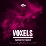 Voxels - With You (Young Edits Remix)