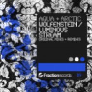 Aqua & Arctic - Wolfenstein (Original mix)