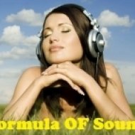 Formula OF Sound - Formula Of Emotions #12 ()