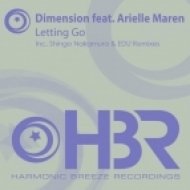 Dimension feat Arielle Maren - Letting Go (Shingo Nakamura Dub)