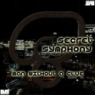 Man Without A Clue - Secret Symphony ()