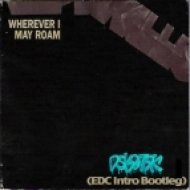 Metallica - Wherever I May Roam (Dskotek\'s EDC Intro Bootleg)