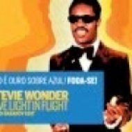 Stevie Wonder - Love Light In Flight (Mario Basanov Edit)