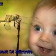 Pulsar - The Best Of Miracle ()