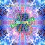 Terrafractyl - The Mind\'s I ()