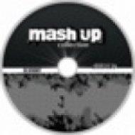 Phunk A Delic & Kleinenberg - This Is Fucking Miami Rockin (Dj KvanT Fucking Mashup)