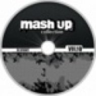 The Real Booty Babes & Phil Fuldner - Street Player Of Miami (Dj KvanT Mashup)