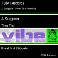 A Surgeon feat Omni Trio - Thru The Vibe ()