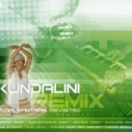 Snatam Kaur - Ong Namo (DJ Nartak & Five Seasons Rmx)