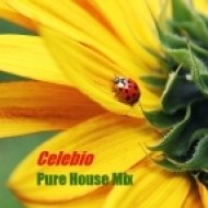 Celebio - Pure House Mix ()