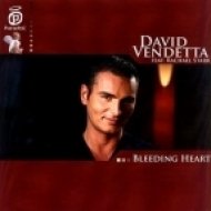 David Vendetta feat. Rachael Starr - Bleeding Heart (Vocal Mix)