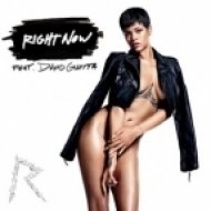 Rihanna (feat. David Guetta) - Right Now (Justyle Remix)