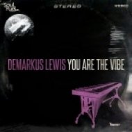 Demarkus Lewis - You Are The Vibe (Deez Dub Mix)