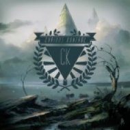 Seven Lions - Days To Come (Curious Kontrol Remix)