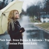 Pink feat. Sven Dorau & Antonia - Try (Florian Paetzold Edit)